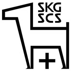 skg logo